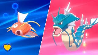 HOW TO Evolve Magikarp into Gyarados in Pokémon Sword and Shield [upl. by Karrie]