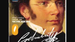 Franz Schubert  Ave Maria [upl. by Nickola793]