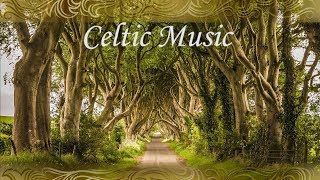 Celtic Instrumental Relaxing Music quotSt Patricks Day Musicquot by Tim Janis [upl. by Cheshire]