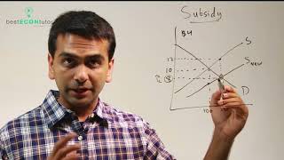 Microeconomics Subsidy [upl. by Relyk]