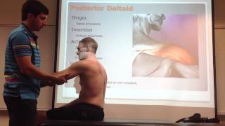 Posterior Deltoid Palpation Manual Therapy and Stretch [upl. by Hutson]