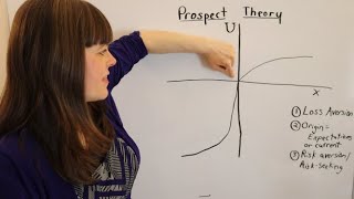 Prospect Theory An Overview [upl. by Ixel797]