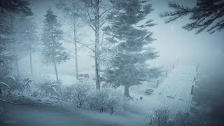 Intense Winter Storm at the Lake┇Howling Wind amp Blowing Snow ┇Sounds for Sleep Study amp Relaxation [upl. by Refinej]