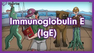 Immunoglobulin E IgE Mnemonic Preview for USMLE [upl. by Martie]