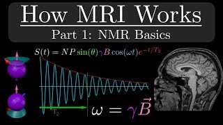 How MRI Works  Part 1  NMR Basics [upl. by Giffer]