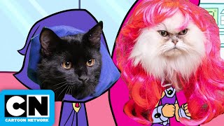 Teen Titans MEOW  Cattoon Network  Cartoon Network [upl. by Audi700]