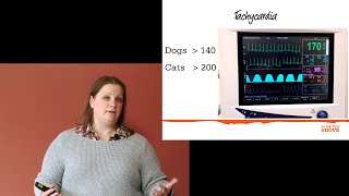 Monitoring Heart Rate Under Anesthesia [upl. by Koser]