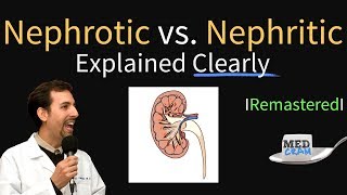 Acute Interstitial Nephritis Mnemonic for the USMLE [upl. by Notniuq541]