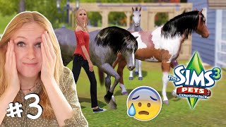 Ik heb 4 WILDE PAARDEN GESTOLEN op de SIMS 😳 De DIERENBESCHERMING komt 🚨 [upl. by Ballinger]