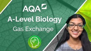 AQA A Level Biology Gas Exchange [upl. by Brenk171]