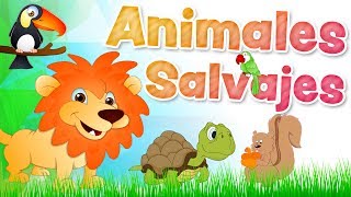 Los ANIMALES SALVAJES en español para niños con sonidos [upl. by Arualana]