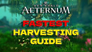 FASTEST Harvesting guide  New World Aeternum  New World Gathering Guide [upl. by Eitsirc637]