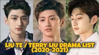 LIU TE  TERRY LIU 刘特 DRAMA LIST 20202021 [upl. by Mario]