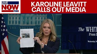 DOGE FINDINGS Karoline Leavitt slams media on DOGE coverage while they sit stunned [upl. by Clayborn]