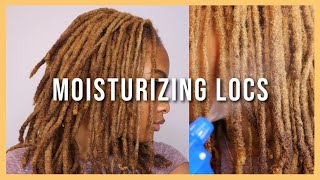 HOW I KEEP MY LOCS MOISTURIZED THICK COLOR TREATED LOCS  Kennedi Leigh [upl. by Okihcim]