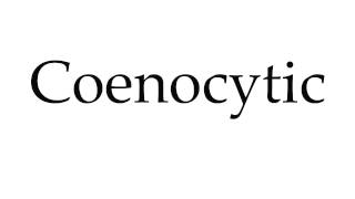 How to Pronounce Coenocytic [upl. by Repsac492]