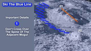 How To Ski Moguls  Blue Line Mogul Skiing Technique Video Intro [upl. by Ayrolg]