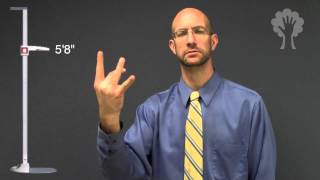 Telling Height  ASL  American Sign Language [upl. by Ube759]