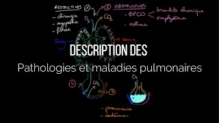 Description des pathologies et maladies pulmonaires [upl. by Niac98]