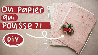 Comment faire du papier ensemencé chez soi 🌱 DIY [upl. by Buffy]