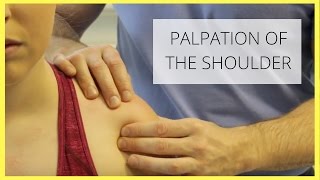 Shoulder Palpation [upl. by Trudy]