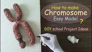 Making Chromosome Model  Styrofoam Carving [upl. by Moffitt]