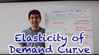 Elasticity of Labour Demand [upl. by Woodrow]