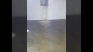 Worst Flooded basement  Water broke through windows [upl. by Garratt]