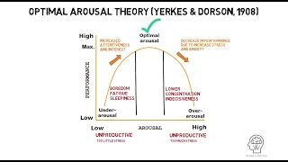 Optimal Arousal Theory by Yerkes and Dorson 1908 [upl. by Ahsap]