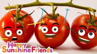 Potato Tomato Song  Educational Video for parents and teachers [upl. by Harrow]