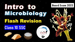 Introduction to Microbiology  Flash Revision  SSC Class10  Parth Momaya [upl. by Shoemaker]