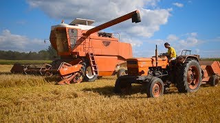 Chantier XL Moisson orge de Printemps FiatSomeca M120 amp M182 IN FRANCE [upl. by Jenine738]