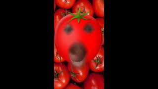 tomato song [upl. by Eedissac]