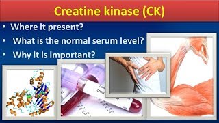 Creatine KinaseCKClear overview [upl. by Ylahtan]