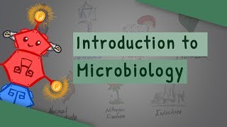 Introduction To Microbiology [upl. by Chow506]