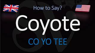 How to Pronounce Coyote  English American Pronunciation [upl. by Onibla]