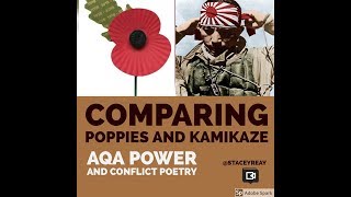 Comparing Poppies to Kamikaze [upl. by Slifka148]