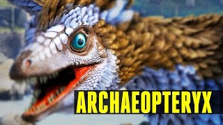 ARCHAEOPTERYX  How to tameEverything you need to know  Ark Survival Evolved Update 247 [upl. by Ennaeed233]