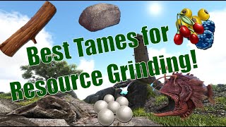 Ark Tutorial Best tames for collecting resources [upl. by Moyers304]