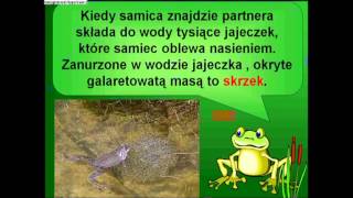 Żaby film edukacyjny dla dzieci [upl. by Rogers]