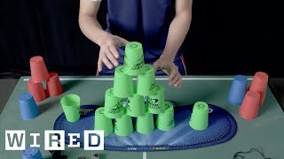 This is FAST Cup Stacking  WIRED [upl. by Kenna30]