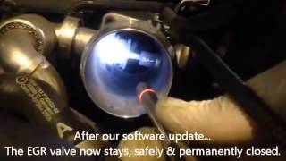 BMW EGR Valve Removal Disable Via Software Only [upl. by Laon]