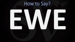 How to Pronounce Ewe CORRECTLY [upl. by Htebazileharas]