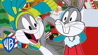 Looney Tunes  Happy Holidays Hare  WB Kids [upl. by Ynaoj]