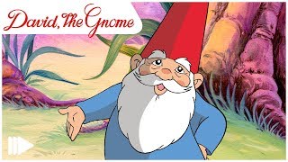 David the Gnome  01  David the Gnome  Full Episode [upl. by Fanning]