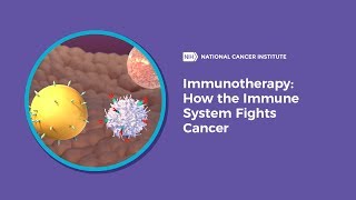 Immunotherapy How the Immune System Fights Cancer [upl. by Otreblig357]