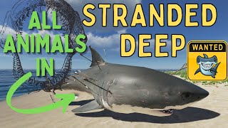 Stranded Deep Tips and Tricks Secret Tips I use [upl. by Neicul]