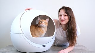 Petree Automatic SelfCleaning Litter Box Review We Tried It for 2 Weeks [upl. by Bullough379]