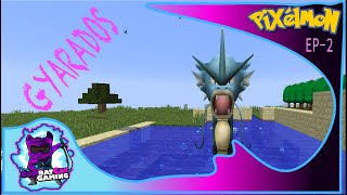 CATCHING AND EVOLVING MAGIKARP INTO GYARADOS MINECRAFT MODDED  PIXELMON EP2 [upl. by Candie887]