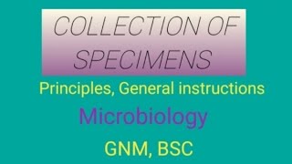 Specimen Collection From The Patients ।। Sample Collection ।। [upl. by Leibrag980]